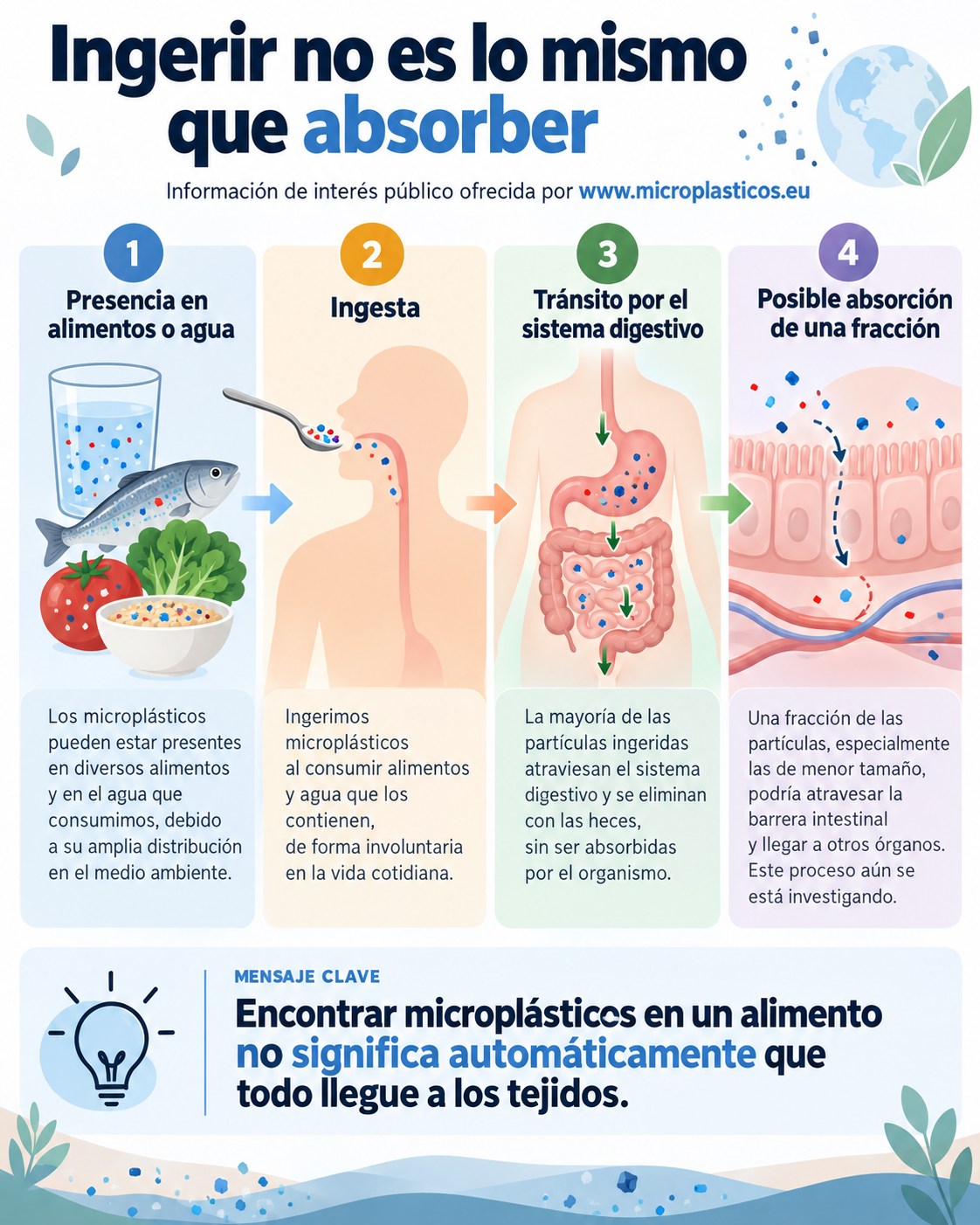 Infografía complementaria sobre ¿Cuántos microplásticos ingerimos realmente? Lo que sabemos y lo que todavía no