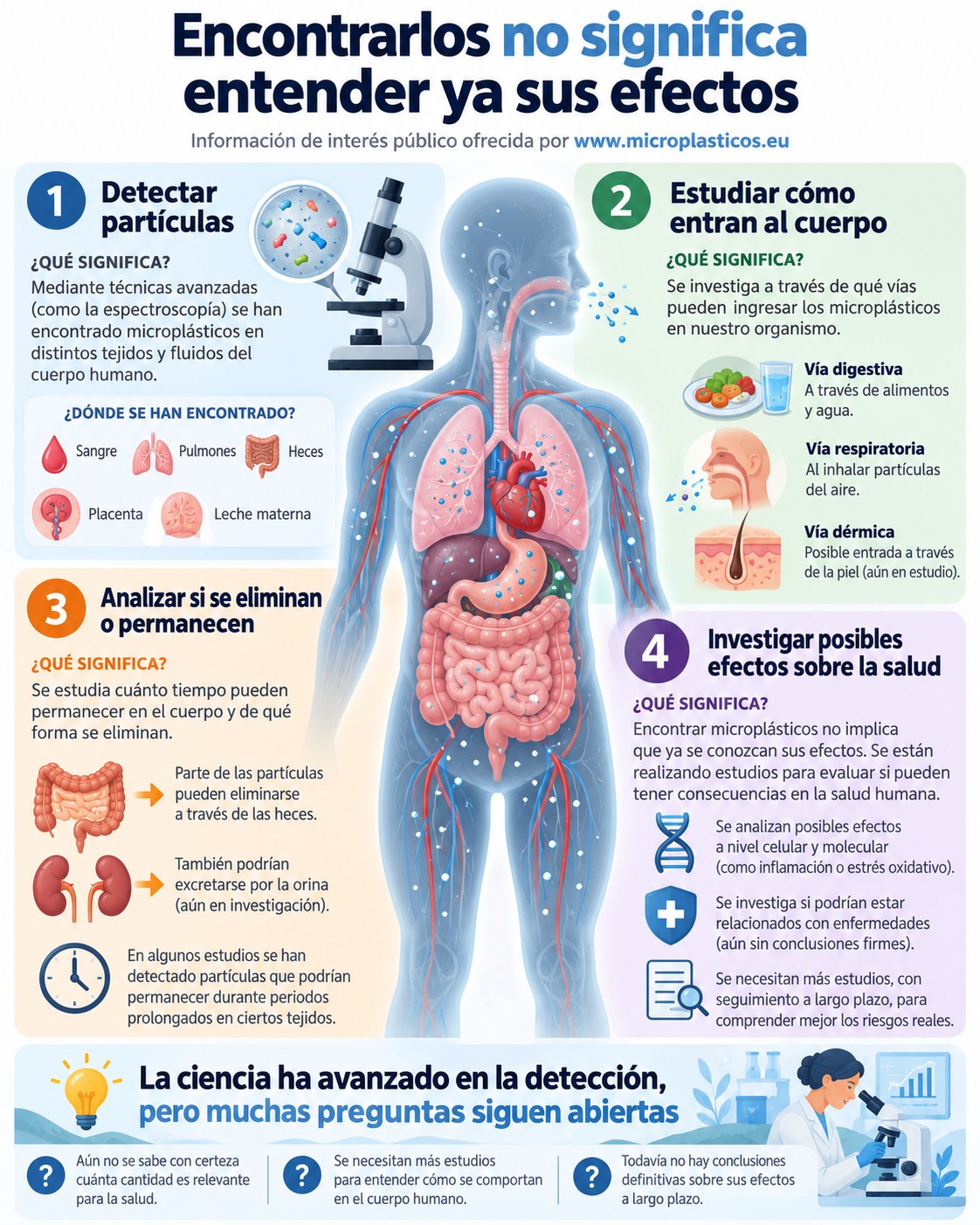 Infografía complementaria sobre Microplásticos en el cuerpo humano: ¿dónde se han encontrado?